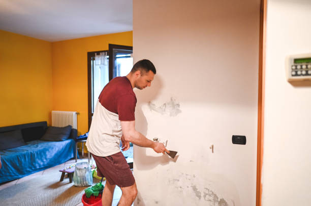 Best Professional Mold Removal  in Gretna, FL